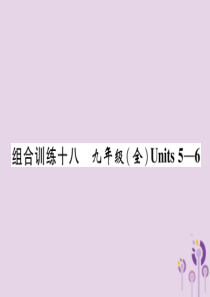 四川省南充市2019中考英语二轮复习 第一部分 教材知识梳理篇 九全 Units 5-6综合练课件 