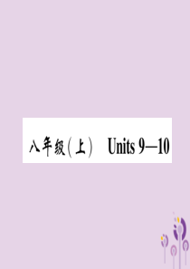 四川省南充市2019中考英语二轮复习 第一部分 教材知识梳理篇 八上 Units 9-10精讲精练课