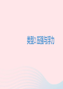 四川省达州市2020年中考物理二轮复习 选择题02 类型二 压强与浮力题型突破课件