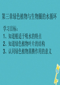 陕西省石泉县七年级生物上册 3.3.4绿色植物与生物圈的水循环课件 （新版）新人教版