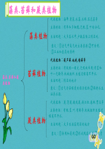 陕西省石泉县七年级生物上册 3.1生物圈中的绿色植物课件 （新版）新人教版