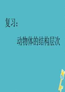 陕西省石泉县七年级生物上册 2.2.3植物体的结构层次课件3 （新版）新人教版