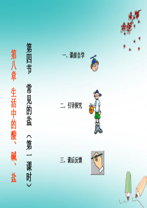 陕西省安康市石泉县池河镇九年级化学下册 第八章 常见的酸、碱、盐 8.4 常见的盐课件1 （新版）粤