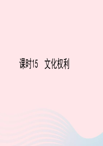 陕西省2019年中考政治总复习 第一部分 教材知识梳理 课时15 文化权利课件