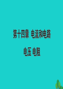 山西省2020年中考物理一轮复习 基础考点一遍过 第十四章 电流和电路 电压 电阻课件