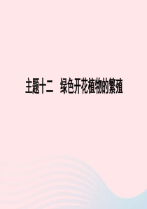 山东省潍坊市2019年中考生物 主题复习十二 绿色开花植物的繁殖课件 济南版