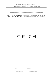 电厂以大代小技术改造工程调试技术服务招标文件