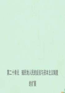 山东省青岛市2019年中考历史总复习 世界史 第二十单元 殖民地人民的反抗与资本主义制度的扩展课件