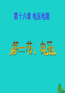 山东省临朐县九年级物理全册 16.1电压复习课件（新版）新人教版