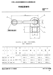 HB 3919-1987 手柄压紧螺母