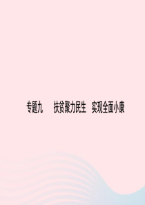 山东省东营市2019年中考道德与法治 专题复习九 扶贫聚力民生 实现全面小康课件