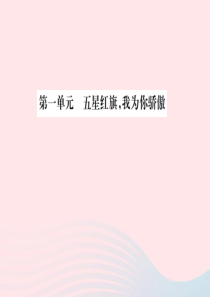 山东省德州市2019年中考道德与法治总复习 九年级 第一单元 五星红旗 我为你骄傲课件