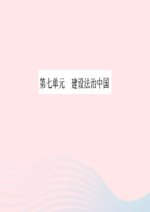 山东省德州市2019年中考道德与法治总复习 九年级 第七单元 建设法治中国课件