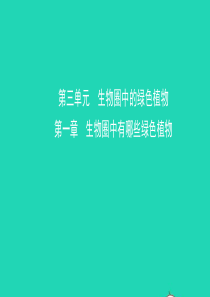 山东省滨州市2018年中考生物总复习 第三单元 生物圈中的绿色植物 第一章 生物圈中有哪些绿色植物课