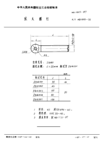 HB 1603-1987 球头螺钉