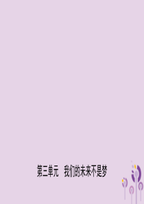 山东省2019年中考道德与法治总复习 九全 第三单元 我们的未来不是梦课件