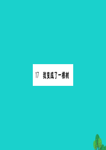 三年级语文下册 第五单元 17《我变成了一棵树》作业课件 新人教版