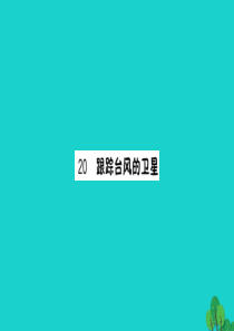 三年级语文下册 第六单元 20《跟踪台风的卫星》预习课件 苏教版