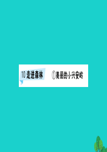 三年级语文下册 10《走进森林》美丽的小兴安岭预习课件 北师大版