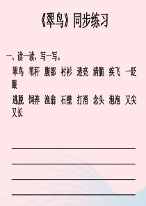 三年级语文上册 第七单元 25《翠鸟》习题课件 鲁教版