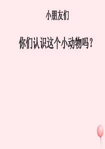 三年级语文上册 第二组 5《灰雀》课堂教学课件3 新人教版