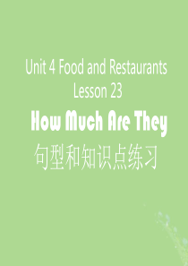 三年级英语下册 Unit 4 Food and Restaurants Lesson 23 How 