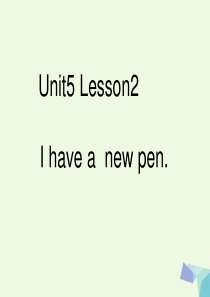 三年级英语上册 Unit 5 Lesson 2 I Have a new pen课件 鲁科版