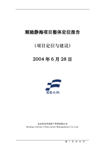 顺驰天津静海项目整体定位报告40页