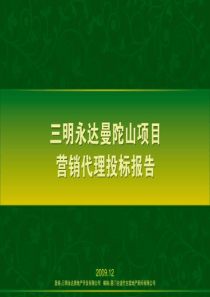 福建三明永达曼陀山项目营销代理投标报告_179页