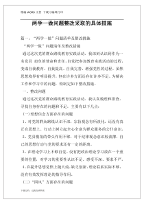 两学一做问题整改采取的具体措施