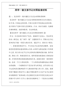 两学一做支部书记对照检查材料