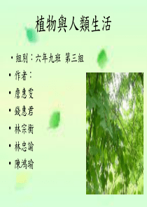 三年级科学下册 四 植物和我们 1《植物和我们的生活》课件2 新人教版