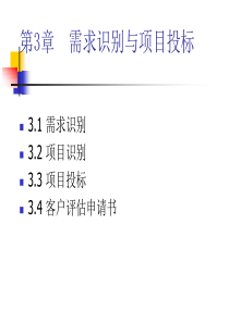 第3章 需求识别与项目投标