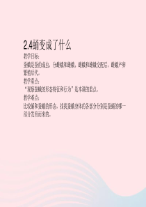 三年级科学下册 动物的生命周期 4 蛹变成了什么课件1 教科版