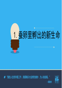 三年级科学下册 动物的生命周期 1 蚕卵里孵出的新生命课件1 教科版