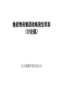 北大纵横-鲁能物资-集团公司战略规划方案