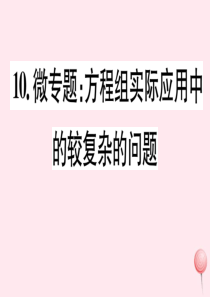 七年级数学下册 微专题 方程组实际应用中的较复杂的问题课件（新版）新人教版