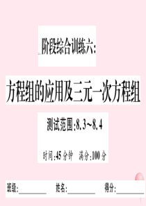 七年级数学下册 阶段综合训练六 方程组的应用及三元一次方程组（测试范围 8.3-8.4）课件（新版）