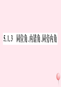 七年级数学下册 第五章 相交线与平行线5.1 相交线5.1.3 同位角、内错角、同旁内角习题课件（新