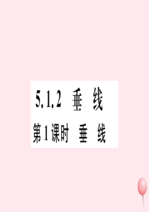 七年级数学下册 第五章 相交线与平行线5.1 相交线5.1.2 垂线第1课时 垂线习题课件（新版）新