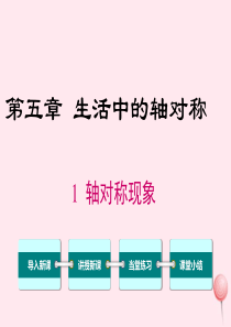 七年级数学下册 第五章 生活中的轴对称1 轴对称现象教学课件（新版）北师大版