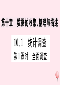 七年级数学下册 第十章 数据的收集、整理与描述10.1 统计调查第1课时 全面调查习题课件（新版）新