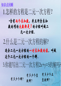 七年级数学下册 第10章 二元一次方程组 10.2 二元一次方程组课件2（新版）苏科版