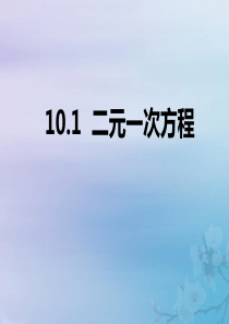 七年级数学下册 第10章 二元一次方程组 10.1 二元一次方程课件3（新版）苏科版