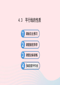 七年级数学下册 第4章 相交线与平行线 4.3平行线的性质习题课件 （新版）湘教版