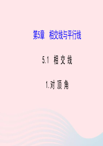 七年级数学上册 第5章 相交线与平行线 5.1 相交线 1对顶角习题课件 （新版）华东师大版