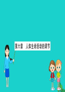 七年级生物下册 期末抢分必胜课 第一部分 主干知识速记 第四单元 第六章 人体生命活动的调节课件（新