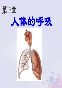 七年级生物下册 第四单元 生物圈中的人 第三章 人体的呼吸 第二节 发生在肺内的气体交换课件2（新版