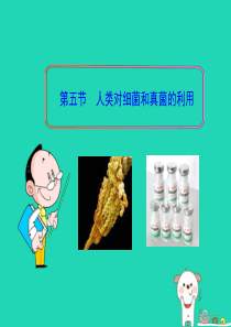 七年级生物下册 6.1.5《人类对细菌和真菌的利用》课件1 鲁科版五四制