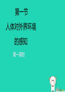 七年级生物下册 4.6.1《人体对外界环境的感知》第一课时课件1 （新版）新人教版